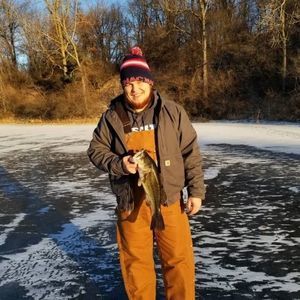 Meet your Posher, Cody